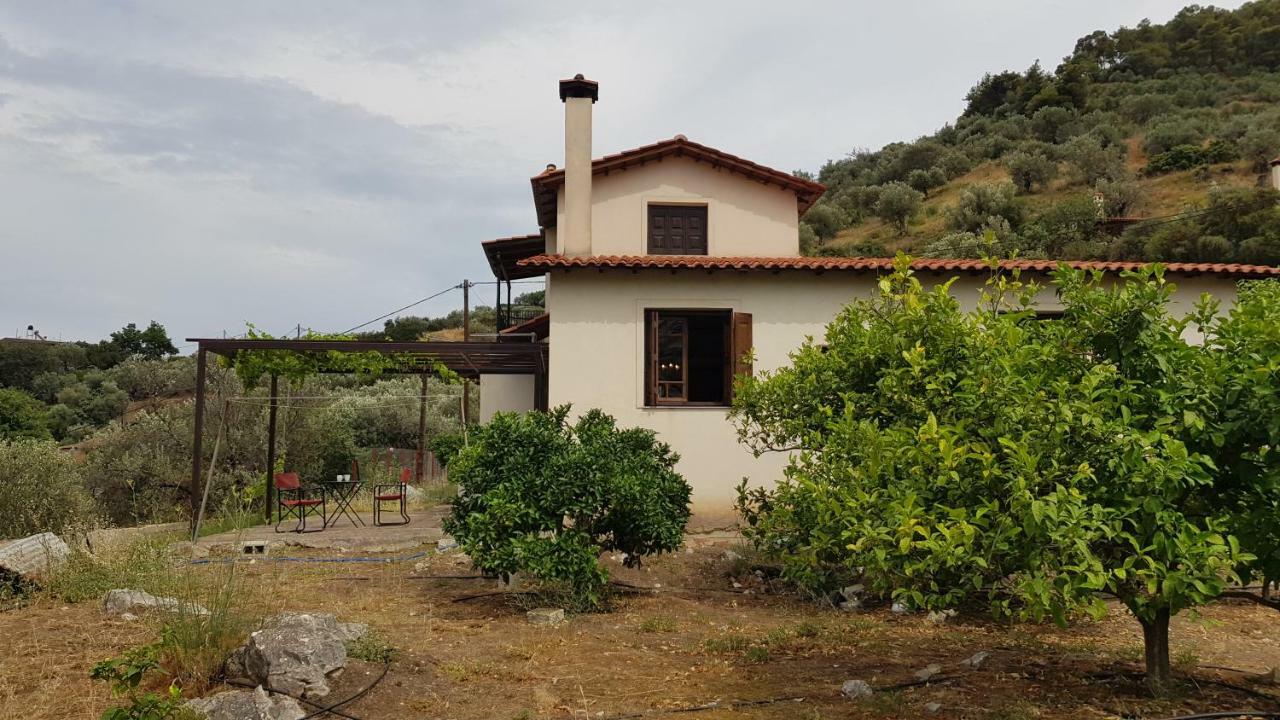 Ample Modern Country Home Nea Epidavros Exterior foto